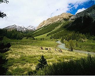 独立游戏《Unpacking》将登录PS4和PS5 实体版开启预购