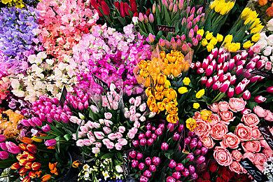 《流放者柯南》第四章上线 致命一击回归