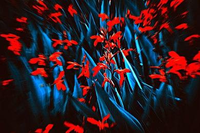 《数码宝贝 绝境求生》将于7月28日预定发售 同步公开首批限定特典